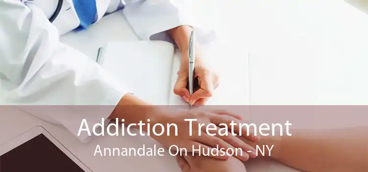 Addiction Treatment Annandale On Hudson - NY