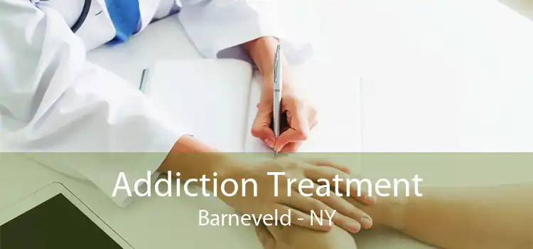 Addiction Treatment Barneveld - NY