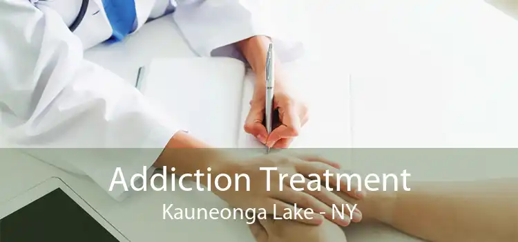 Addiction Treatment Kauneonga Lake - NY