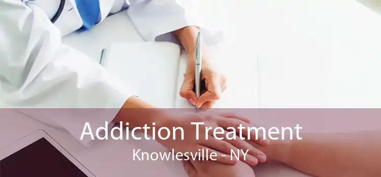 Addiction Treatment Knowlesville - NY