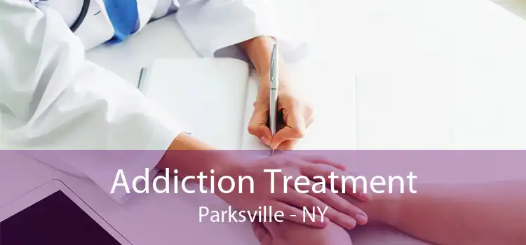 Addiction Treatment Parksville - NY