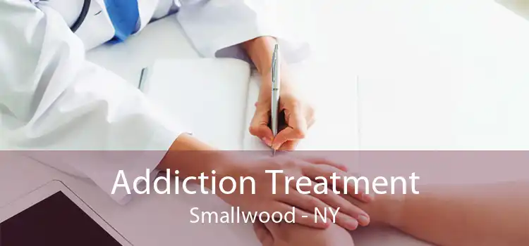 Addiction Treatment Smallwood - NY