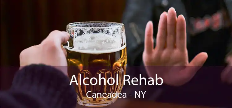 Alcohol Rehab Caneadea - NY