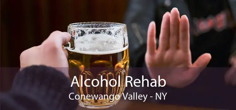 Alcohol Rehab Conewango Valley - NY