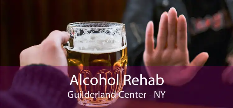 Alcohol Rehab Guilderland Center - NY