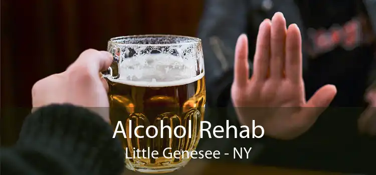 Alcohol Rehab Little Genesee - NY