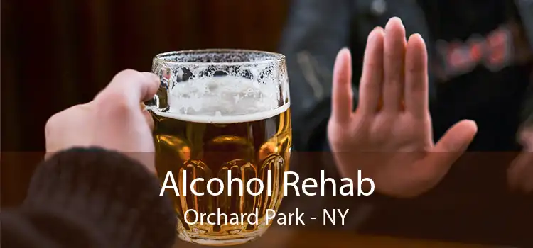 Alcohol Rehab Orchard Park - NY