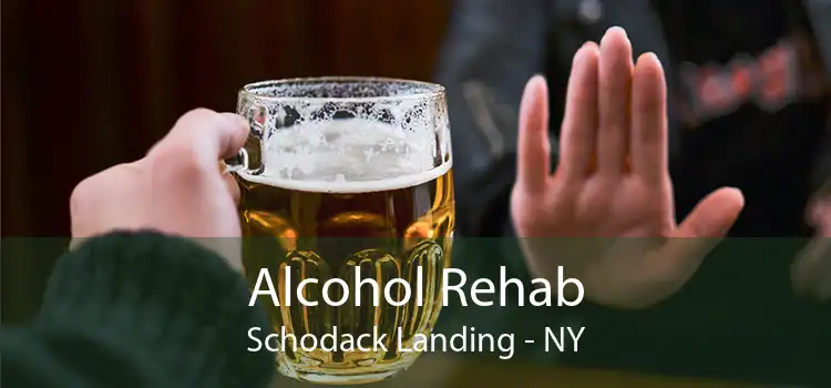 Alcohol Rehab Schodack Landing - NY