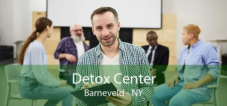 Detox Center Barneveld - NY