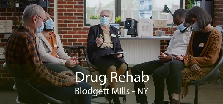 Drug Rehab Blodgett Mills - NY