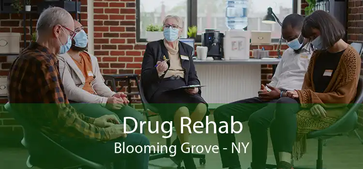 Drug Rehab Blooming Grove - NY