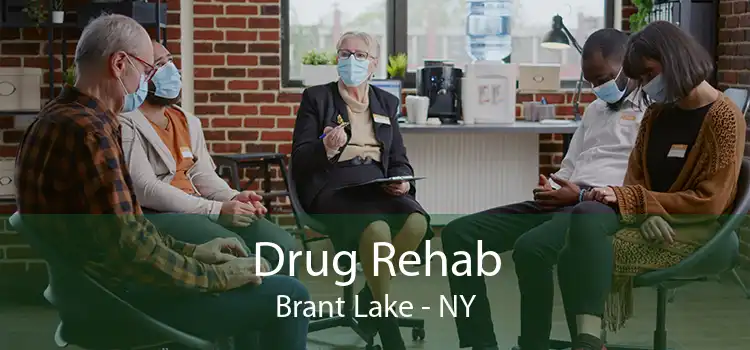 Drug Rehab Brant Lake - NY