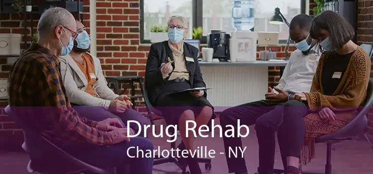 Drug Rehab Charlotteville - NY