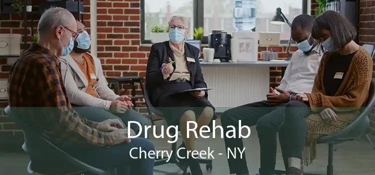 Drug Rehab Cherry Creek - NY