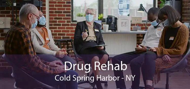 Drug Rehab Cold Spring Harbor - NY