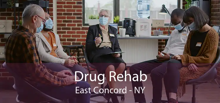 Drug Rehab East Concord - NY