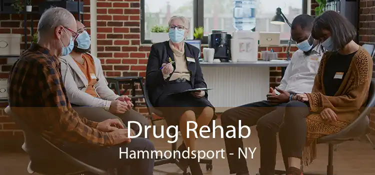Drug Rehab Hammondsport - NY