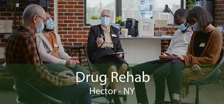 Drug Rehab Hector - NY