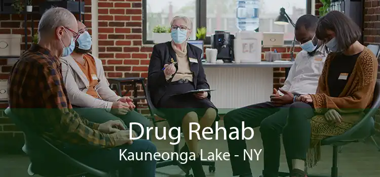 Drug Rehab Kauneonga Lake - NY