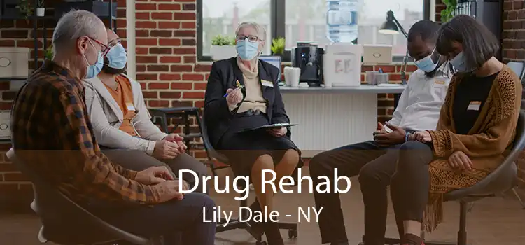 Drug Rehab Lily Dale - NY