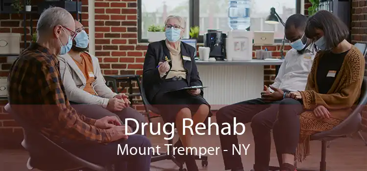 Drug Rehab Mount Tremper - NY