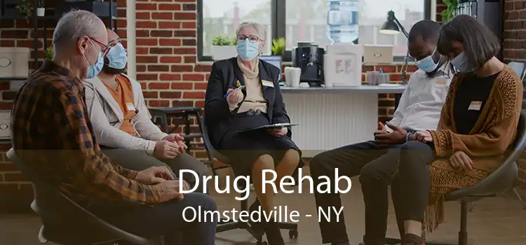 Drug Rehab Olmstedville - NY