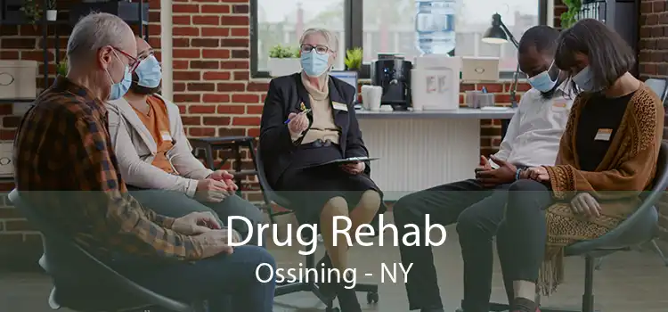 Drug Rehab Ossining - NY