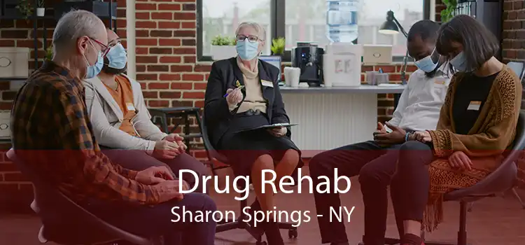 Drug Rehab Sharon Springs - NY