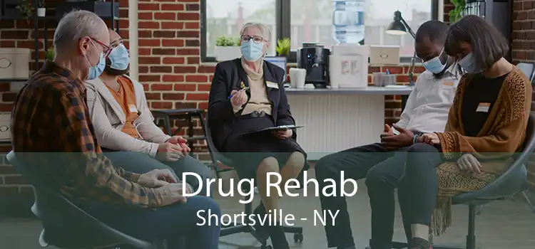 Drug Rehab Shortsville - NY