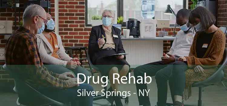 Drug Rehab Silver Springs - NY