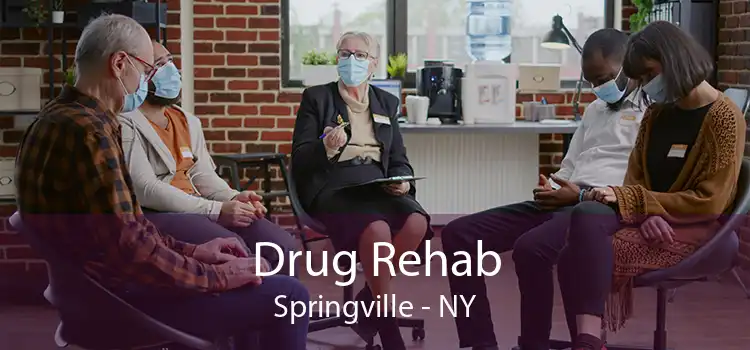 Drug Rehab Springville - NY