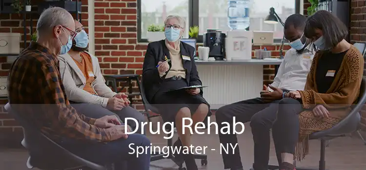 Drug Rehab Springwater - NY