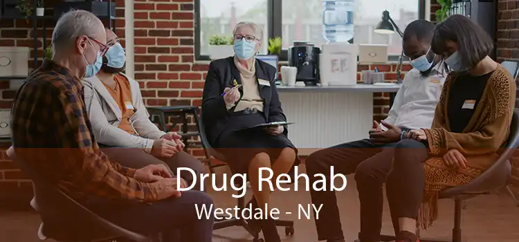 Drug Rehab Westdale - NY