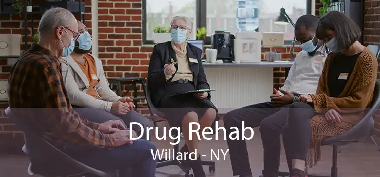 Drug Rehab Willard - NY