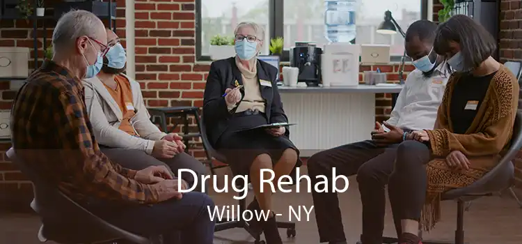 Drug Rehab Willow - NY