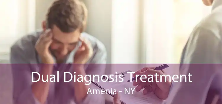 Dual Diagnosis Treatment Amenia - NY