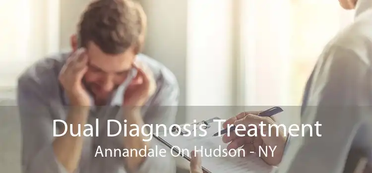 Dual Diagnosis Treatment Annandale On Hudson - NY