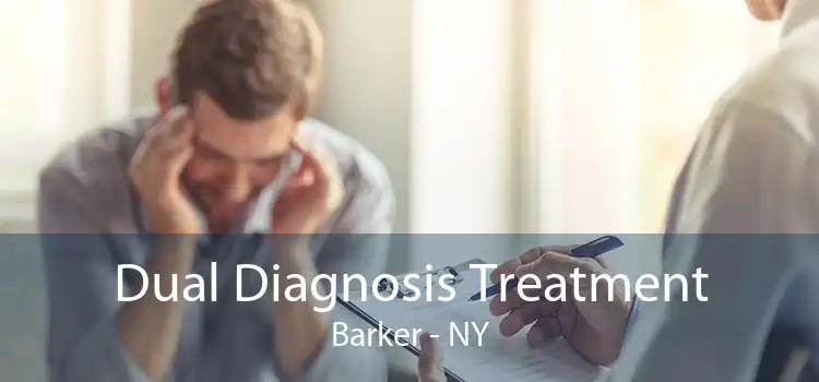Dual Diagnosis Treatment Barker - NY