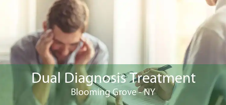 Dual Diagnosis Treatment Blooming Grove - NY