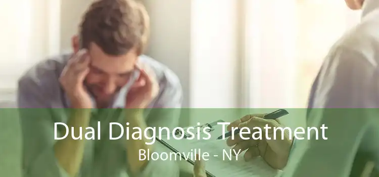 Dual Diagnosis Treatment Bloomville - NY