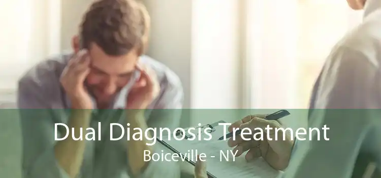 Dual Diagnosis Treatment Boiceville - NY