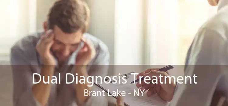 Dual Diagnosis Treatment Brant Lake - NY