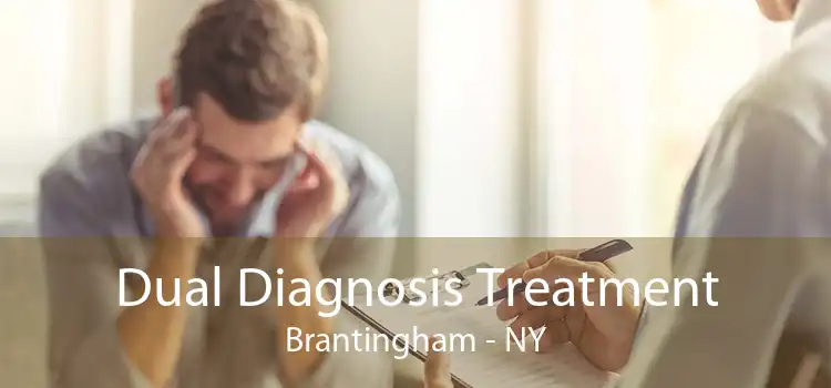 Dual Diagnosis Treatment Brantingham - NY