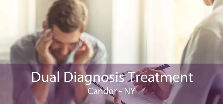 Dual Diagnosis Treatment Candor - NY