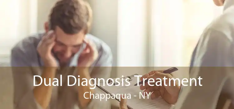 Dual Diagnosis Treatment Chappaqua - NY