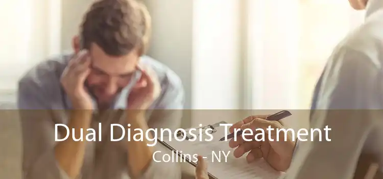 Dual Diagnosis Treatment Collins - NY