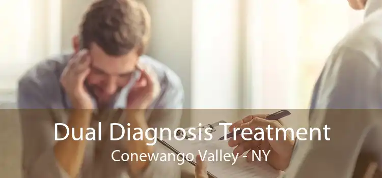 Dual Diagnosis Treatment Conewango Valley - NY