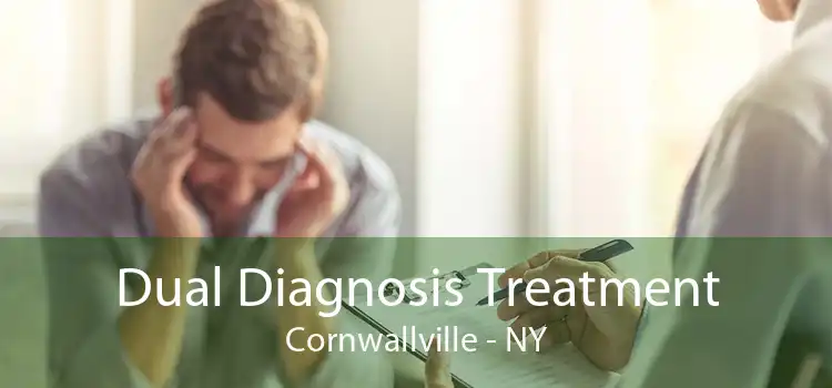 Dual Diagnosis Treatment Cornwallville - NY