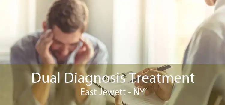 Dual Diagnosis Treatment East Jewett - NY