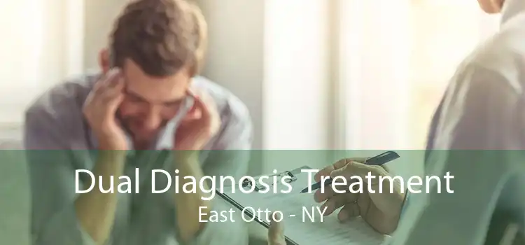 Dual Diagnosis Treatment East Otto - NY